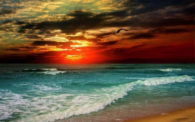 一张美味的图片 &middot; #3084