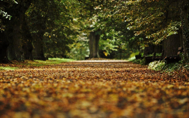 一张美味的图片 &middot; #4012