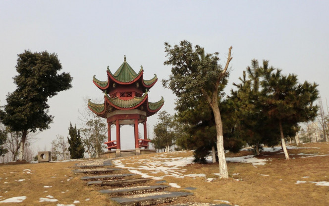 一张美味的图片 &middot; #1498