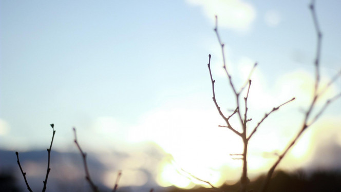 一张美味的图片 &middot; #3536