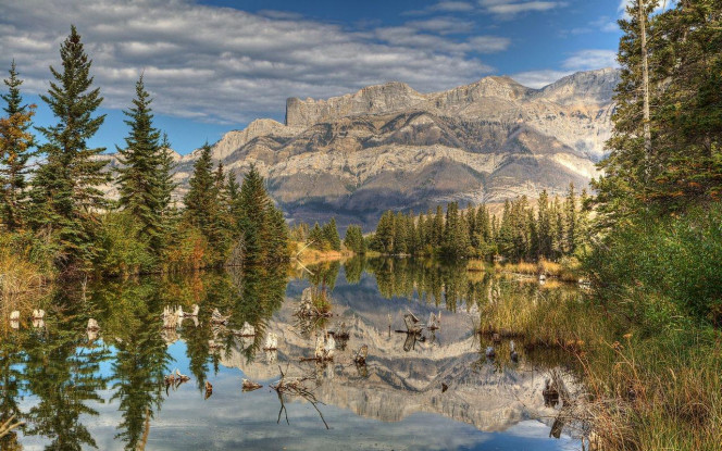 一张美味的图片 &middot; #4450