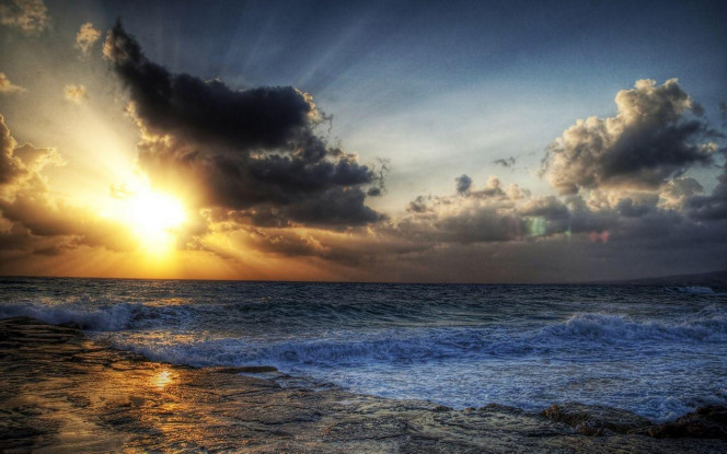 一张美味的图片 &middot; #2539