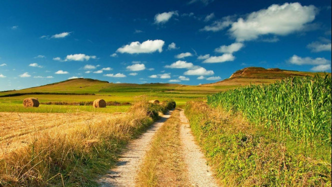 一张美味的图片 &middot; #2315