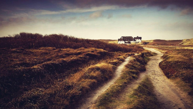 一张美味的图片 &middot; #2481