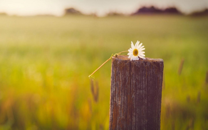 一张美味的图片 &middot; #2893