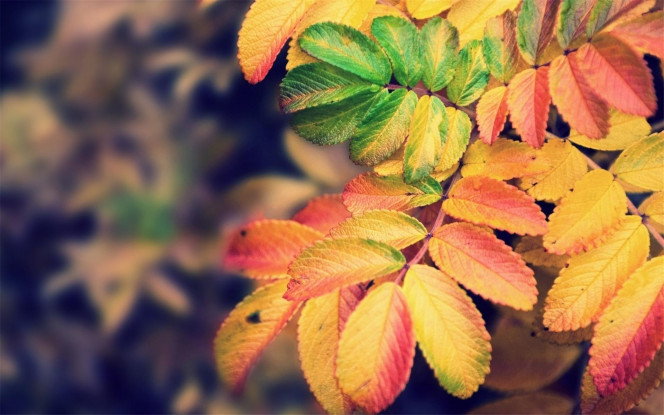 一张美味的图片 &middot; #3097