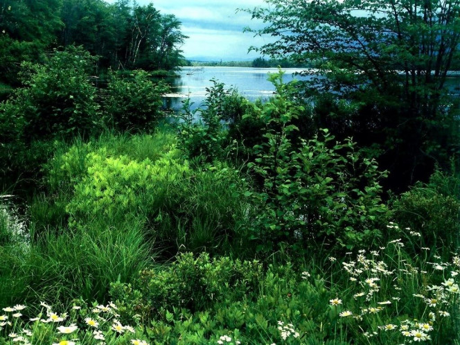 一张美味的图片 &middot; #944