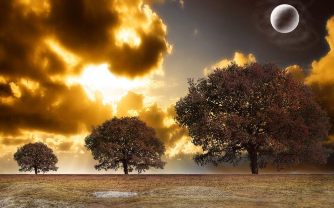 一张美味的图片 &middot; #2297