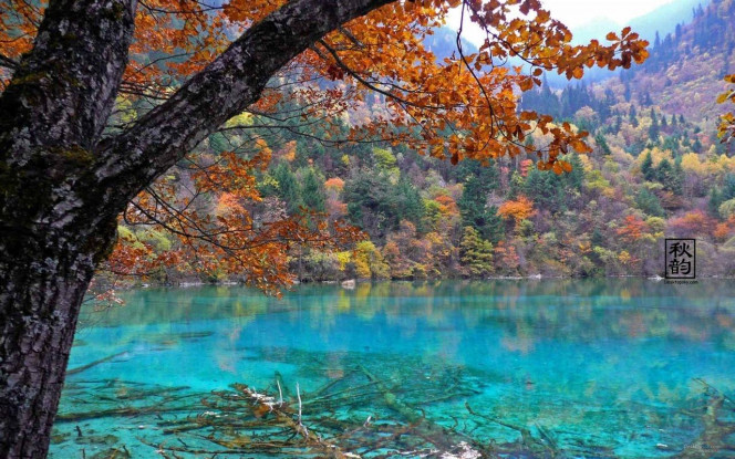 一张美味的图片 &middot; #4016