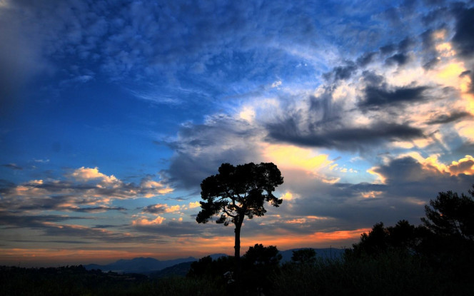 一张美味的图片 &middot; #3996