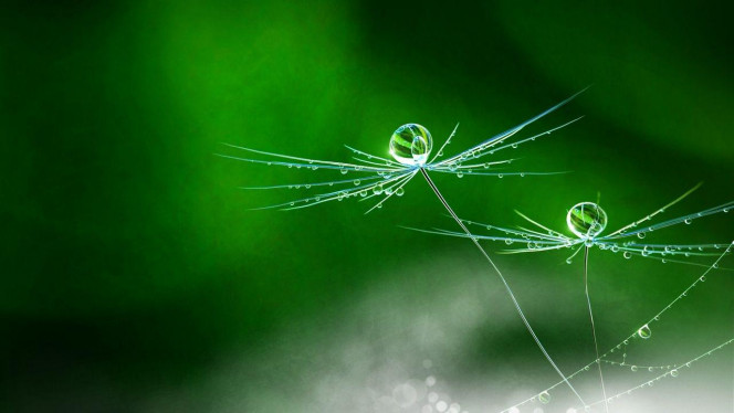 一张美味的图片 &middot; #4325