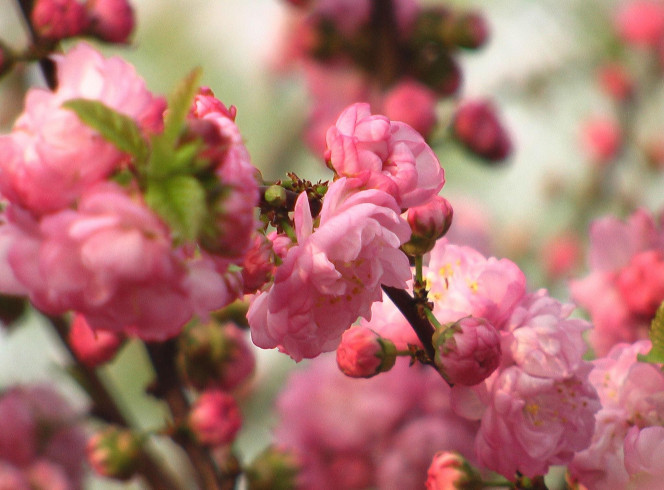 一张美味的图片 &middot; #1499