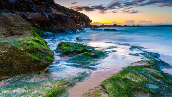 一张美味的图片 &middot; #3266