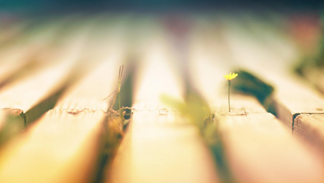 一张美味的图片 &middot; #1819