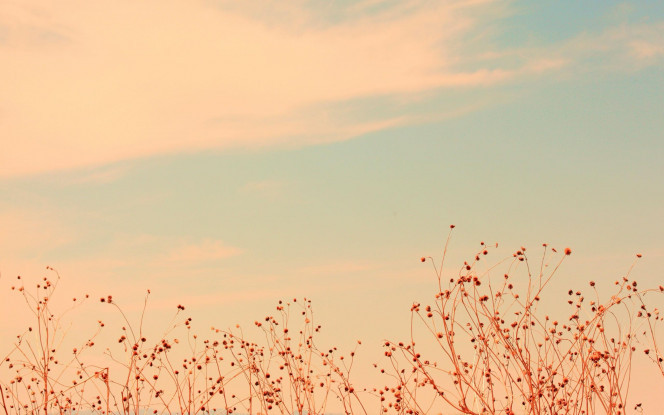 一张美味的图片 &middot; #38