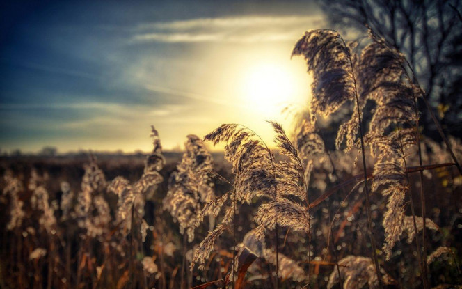 一张美味的图片 &middot; #4158