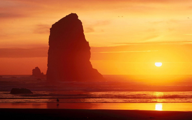 一张美味的图片 &middot; #2730