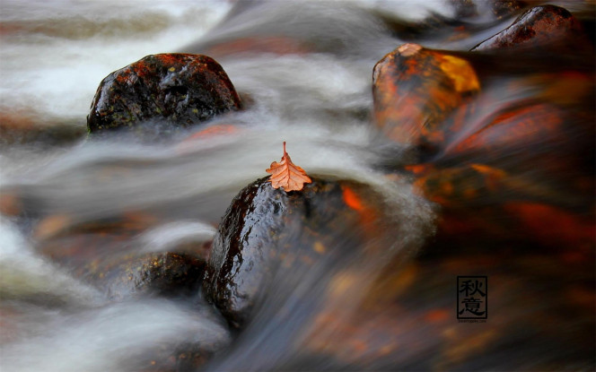 一张美味的图片 &middot; #3957