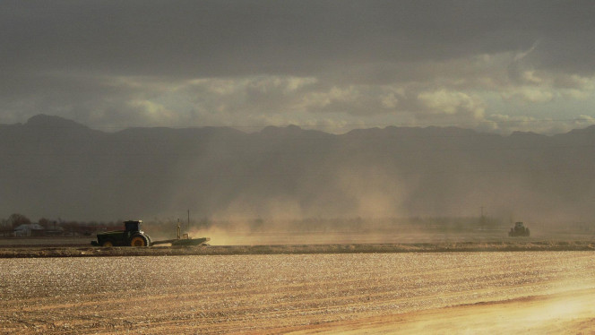 一张美味的图片 &middot; #1757