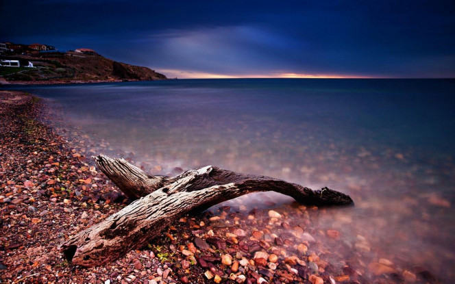 一张美味的图片 &middot; #2794