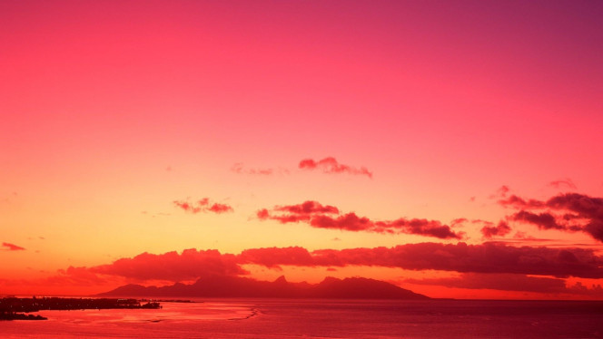 一张美味的图片 &middot; #4077