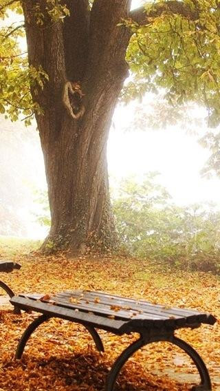 一张美味的图片 &middot; #157