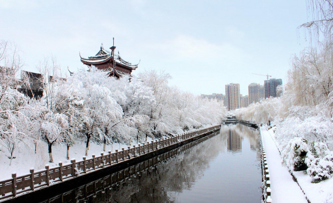 一张美味的图片 &middot; #1435