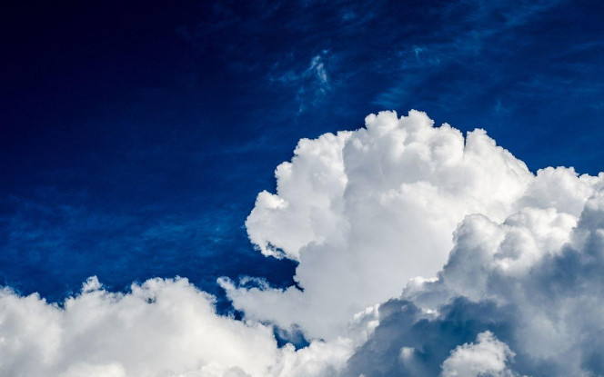 一张美味的图片 &middot; #3179