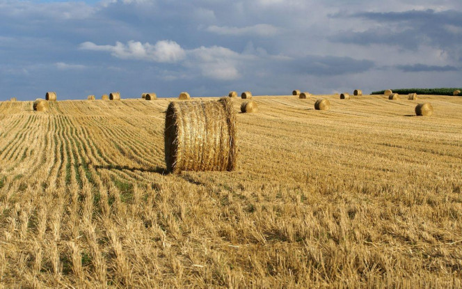 一张美味的图片 &middot; #3076