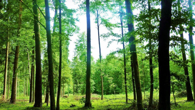 一张美味的图片 &middot; #2952