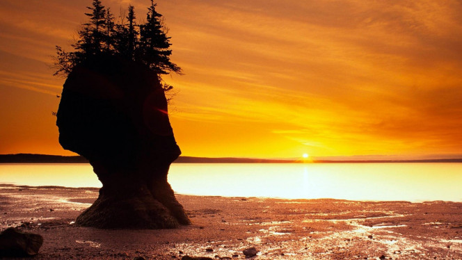 一张美味的图片 &middot; #4149