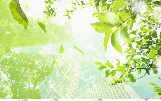 一张美味的图片 &middot; #1520