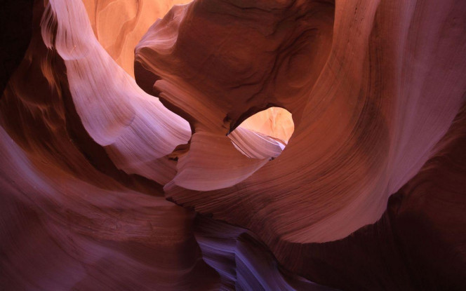 一张美味的图片 &middot; #2199