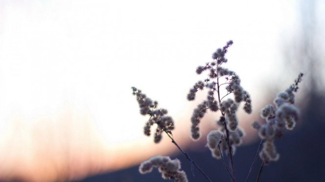 一张美味的图片 &middot; #2647