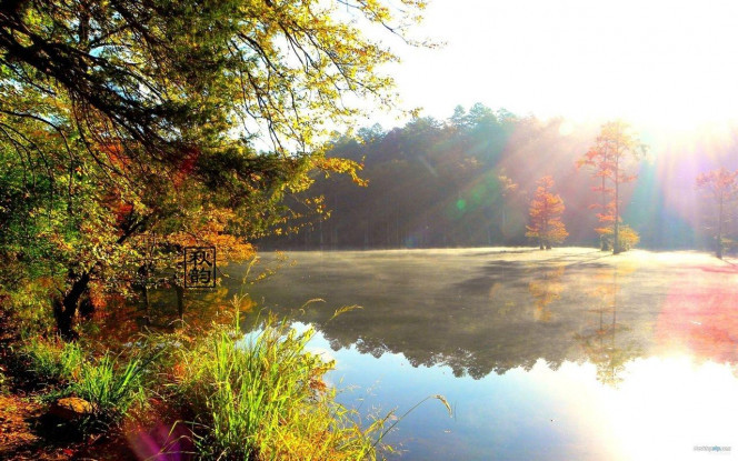 一张美味的图片 &middot; #4033