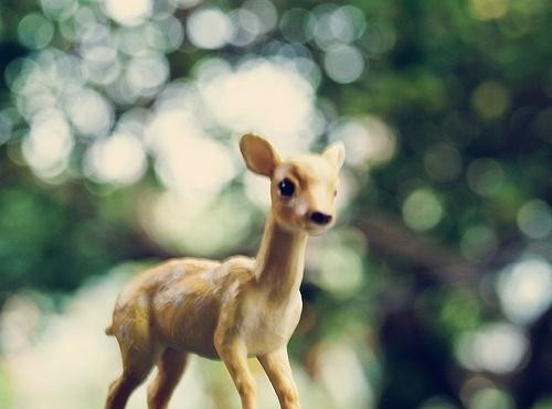 一张美味的图片 &middot; #5118