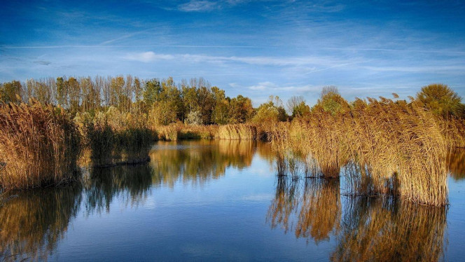 一张美味的图片 &middot; #4227