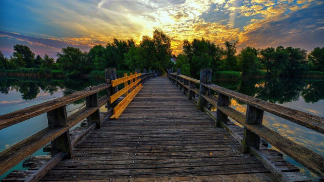 一张美味的图片 &middot; #4130