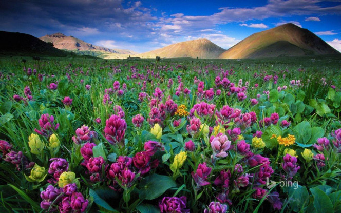 一张美味的图片 &middot; #3863