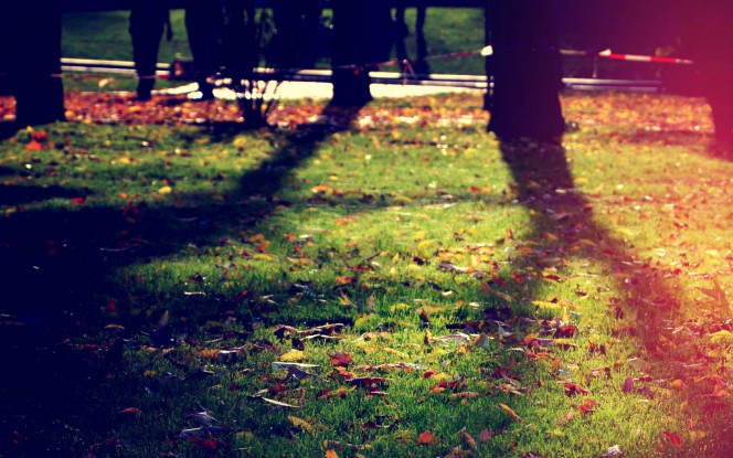 一张美味的图片 &middot; #2303