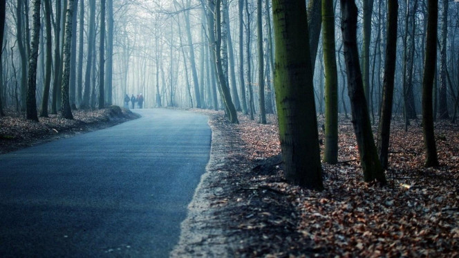 一张美味的图片 &middot; #2581