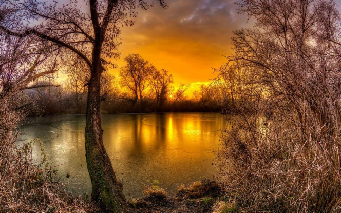 一张美味的图片 &middot; #4009