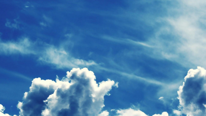 一张美味的图片 &middot; #3176