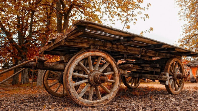 一张美味的图片 &middot; #3656