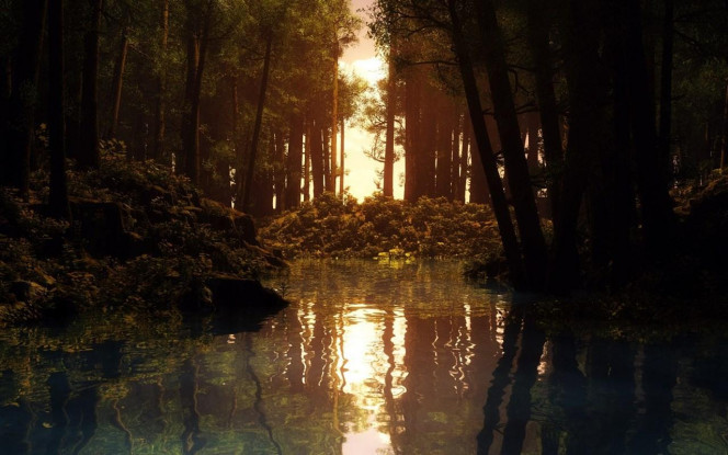 一张美味的图片 &middot; #814