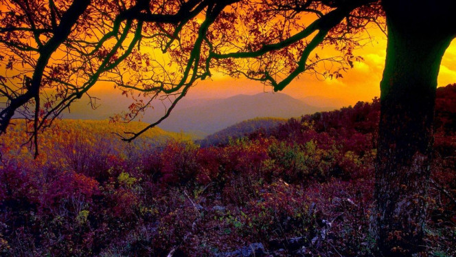 一张美味的图片 &middot; #4136