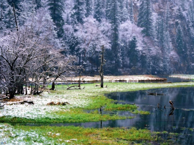 一张美味的图片 &middot; #1194