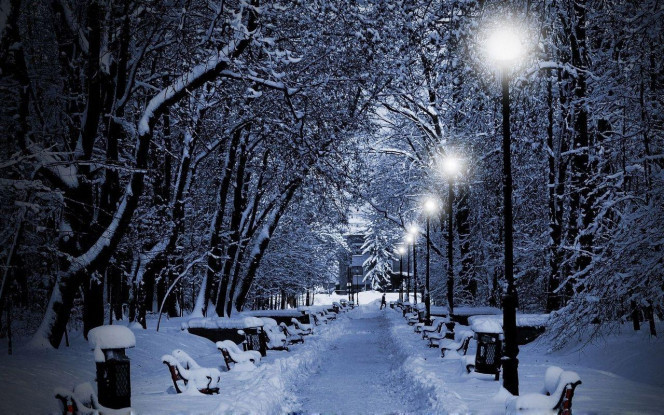 一张美味的图片 &middot; #2281