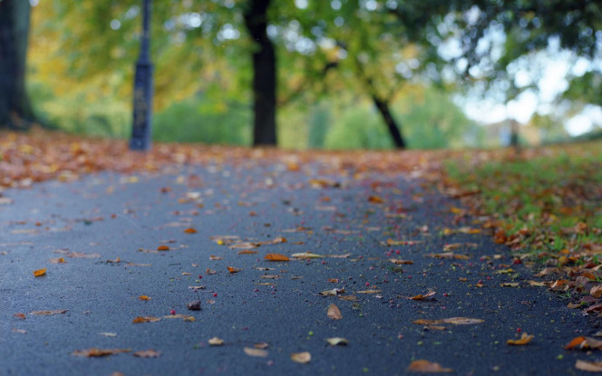 一张美味的图片 &middot; #103