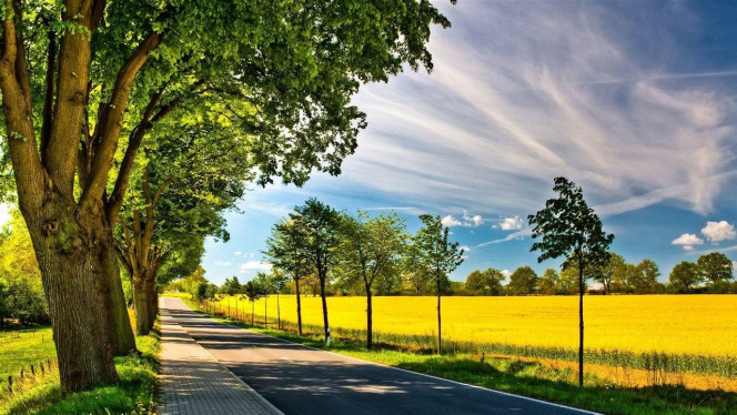 一张美味的图片 &middot; #2684